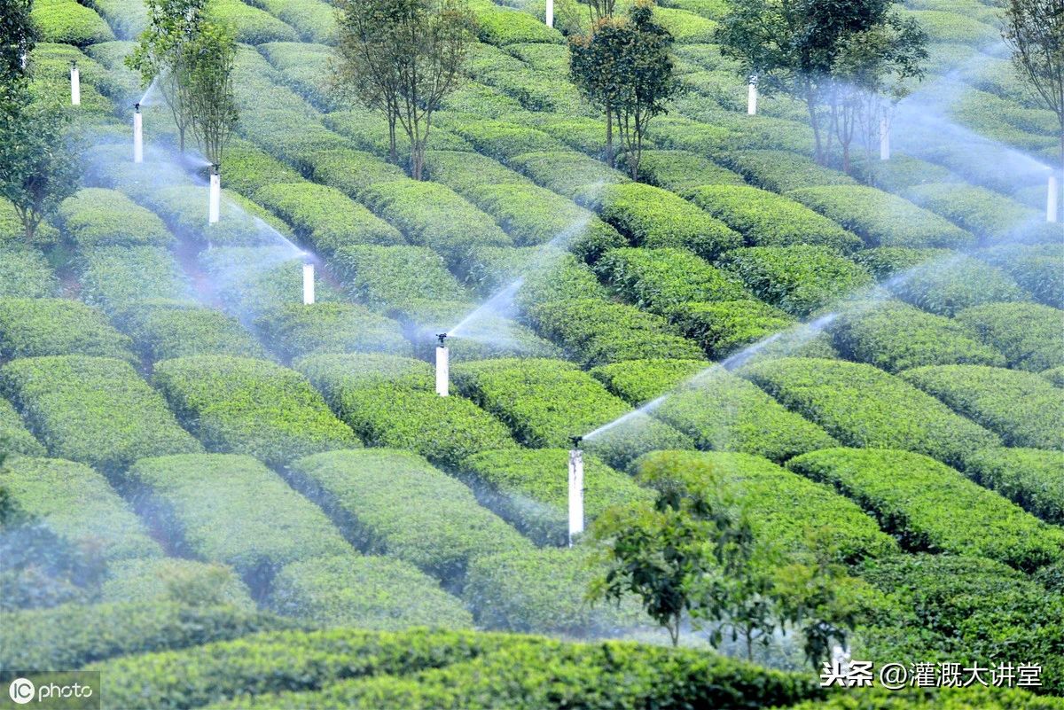 農(nóng)業(yè)灌溉資訊 | 未來幾年國內(nèi)農(nóng)業(yè)灌溉市場估計有多大? 農(nóng)業(yè)灌溉資訊 | 未來幾年國內(nèi)農(nóng)業(yè)灌溉市場估計有多大?